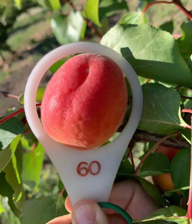 sfpartners-33