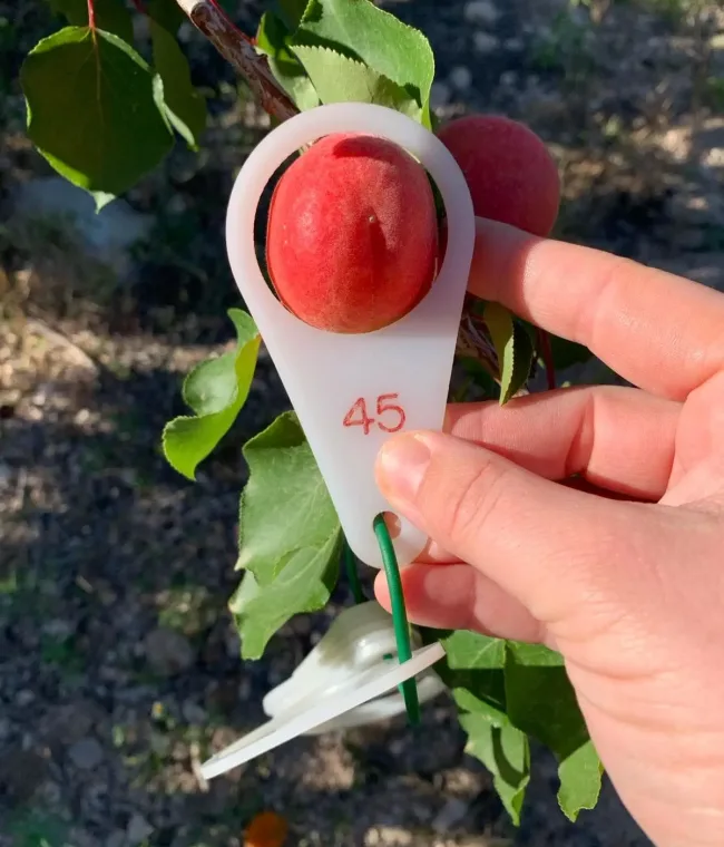 sfpartners-37