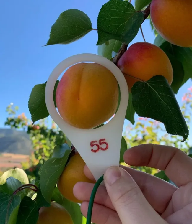 sfpartners-38